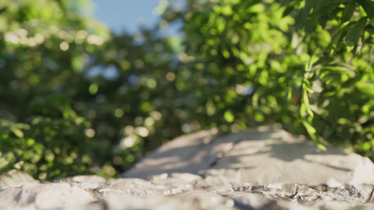 ROC16 16000mAh Solar Power Bank